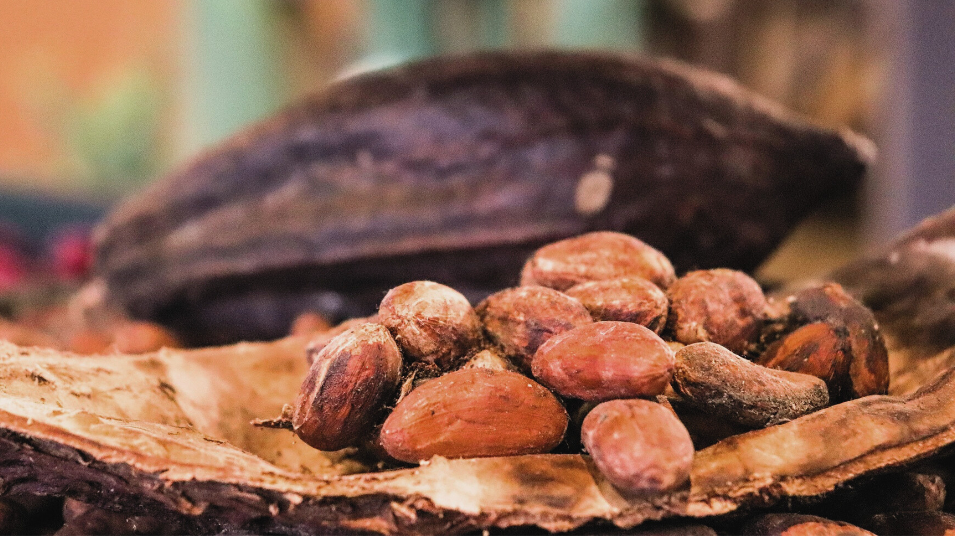 Rohkakao - Wärmende Kraft aus der Natur