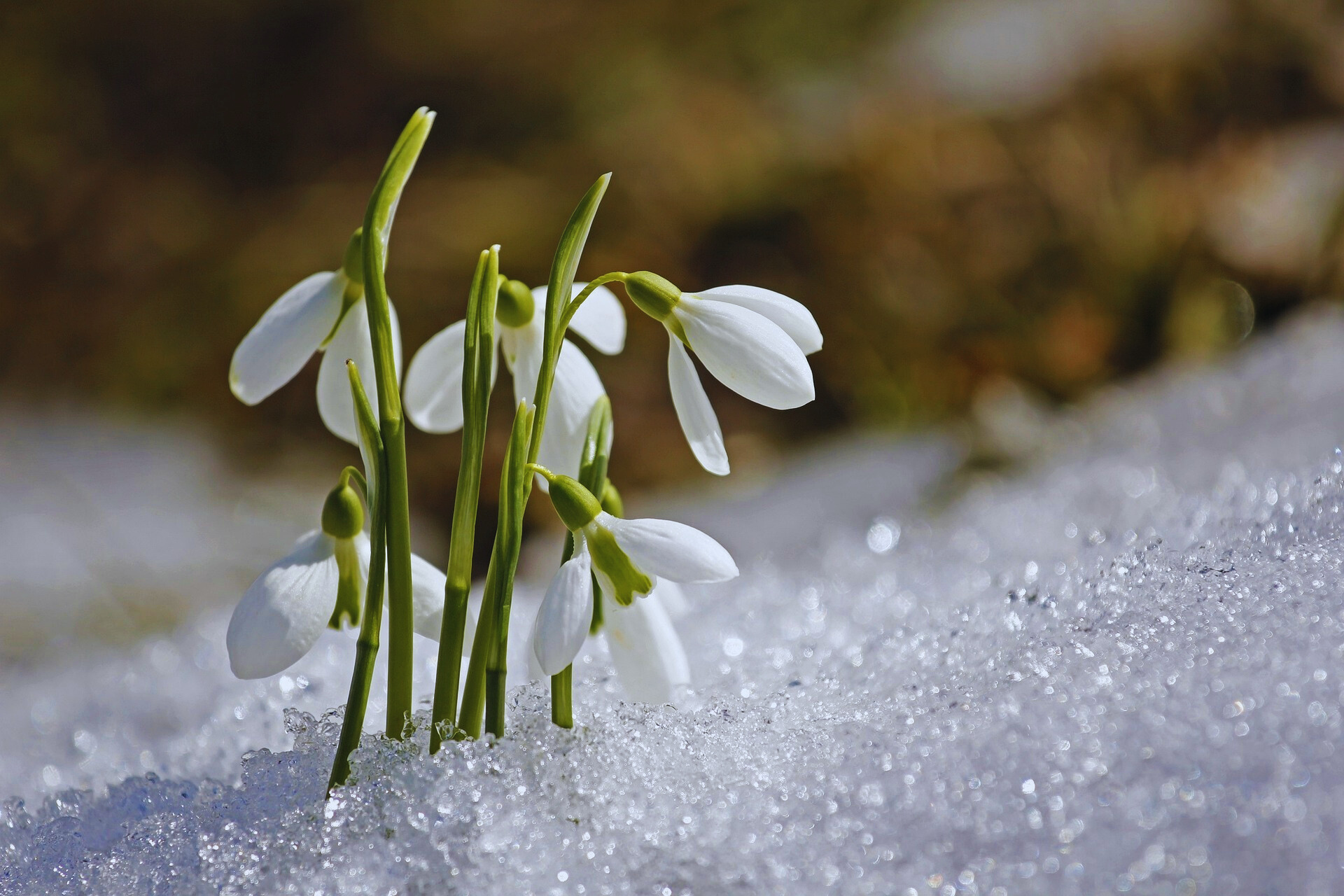 Frühlingsernährung